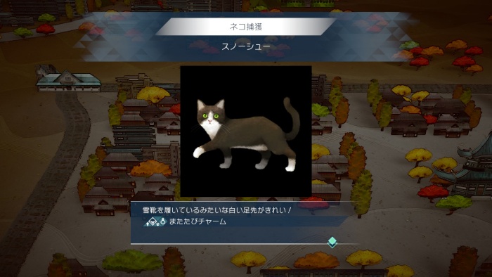 サガエメ_アメイヤ編攻略_スノーシュー