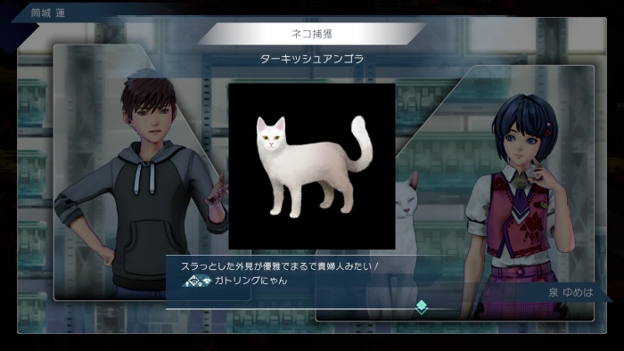 サガエメ_アメイヤ編攻略_ターキッシュアンゴラ