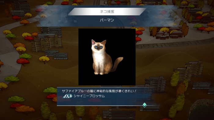 サガエメ_アメイヤ編攻略_バーマン