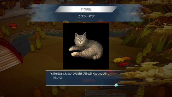 サガエメ_アメイヤ編攻略_ピクシーボブ