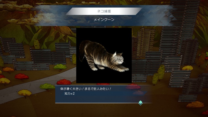 サガエメ_アメイヤ編攻略_メインクーン