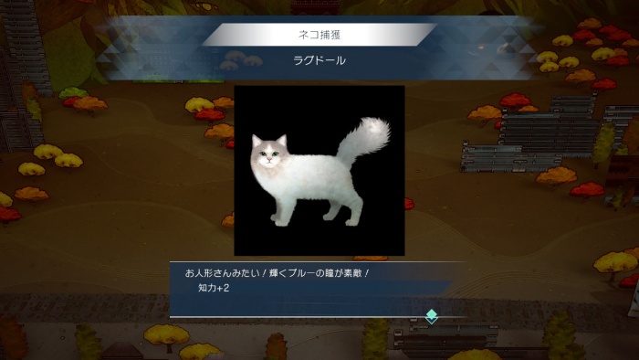 サガエメ_アメイヤ編攻略_ラグドール