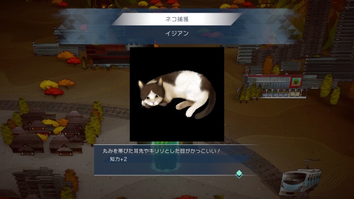 サガエメ_アメイヤ編＿イジアン