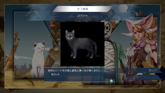 サガエメ_アメイヤ編＿コラット