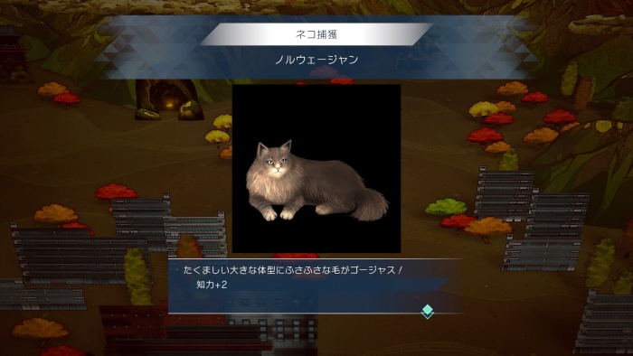 サガエメ_アメイヤ編＿ノルウェージャン