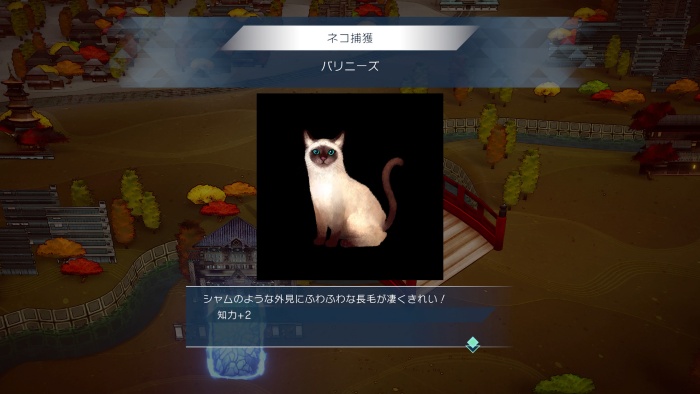 サガエメ_アメイヤ編＿バリニーズ