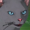パー