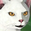 ミャオ