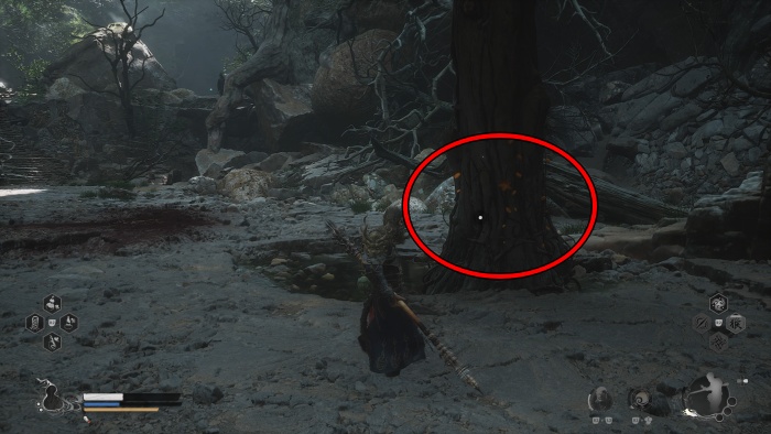 らっかこうとう11