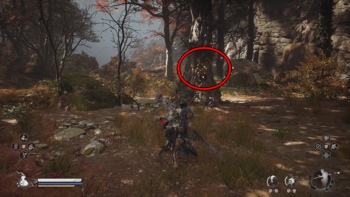 らっかこうとう12