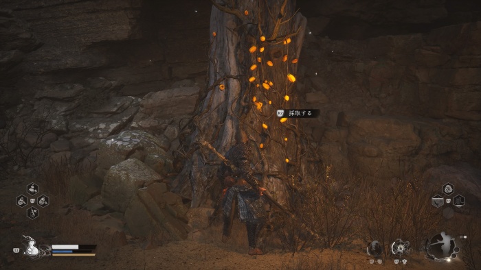 らっかこうとう3