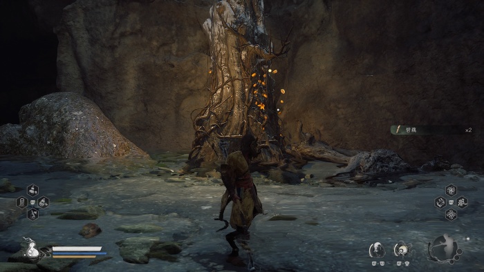 らっかこうとう5