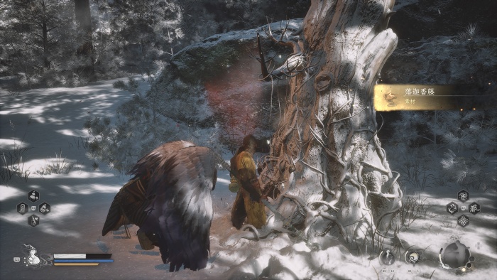 らっかこうとう7