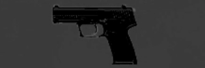 GS45 アイコン