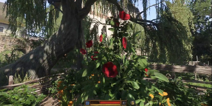 ストライプ：花に侵入3