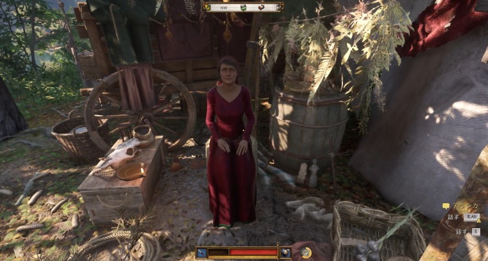 将軍の呪い：アランカ