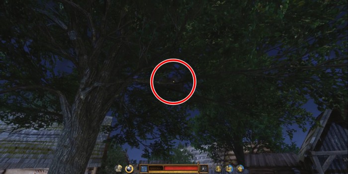 正義：ヴィジモラのメダル