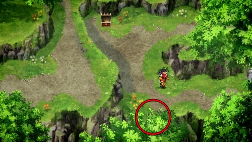 大森林 水の紋章片