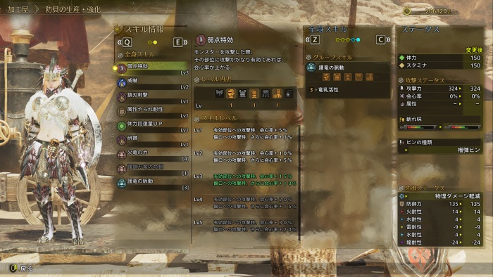 チャアク・下位終盤防具