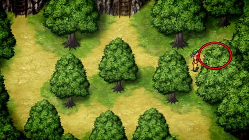 ドワーフの山道 必殺の封印球