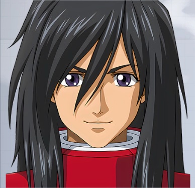 カナード・パルス