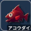 アコウダイ