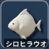 シロヒラウオ