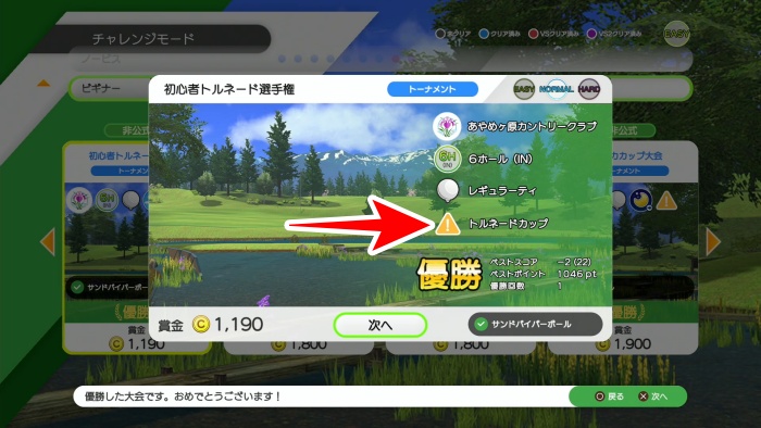 デカカップ、トルネードカップの大会