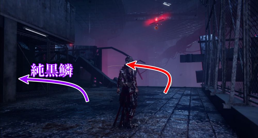 ニンジャガイデン2-9