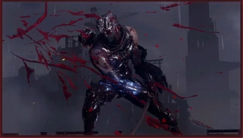 ニンジャガイデン4_リュウハヤブサ