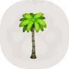 ヤシの木03