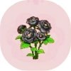 黒いバラ
