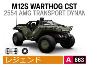M12S WARTHOG CST