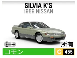 SILVIA K'S